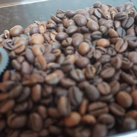 Ganz Besondere * ビンゲン・アム・ライン