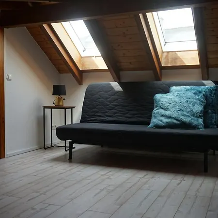 Ganz Besondere アパート ビンゲン・アム・ライン