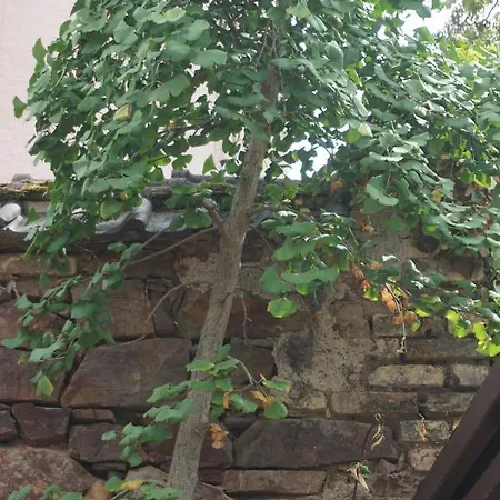 公寓 Ganz Besondere