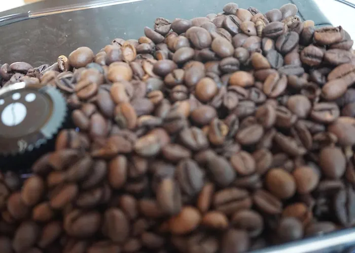 Ganz Besondere * Bingen am Rhein