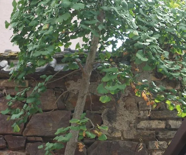 Apartamento Ganz Besondere